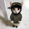 qtFlip