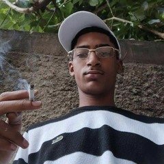 tropa do Taz🚂👻🦁🐻🐝🚩