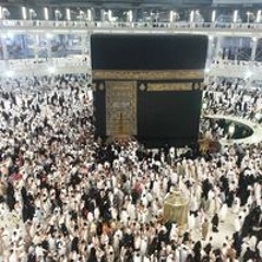 هونا البلاح