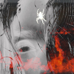 Whoisamit