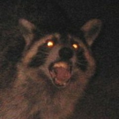 Raku