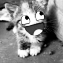 ⋆ ✮ ⋆