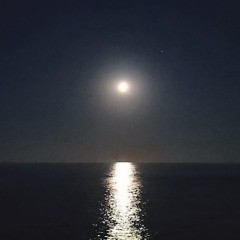 GUMP (LUPSIN FILTER)