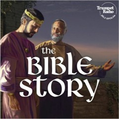 The Bible Story