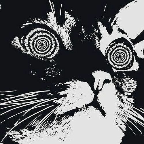 SoundCloud profile picture for @goth