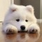 ㅇㅇ