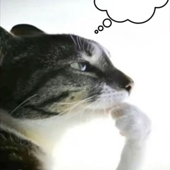 DIENYT