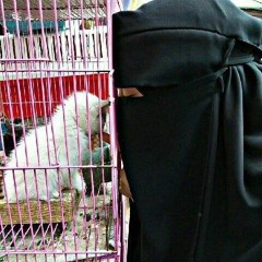 ندىٰ مصطفي