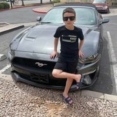 Leo Americanu