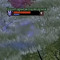 Seva Steam