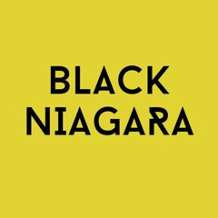 Black Niagara Records
