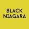 Black Niagara Records