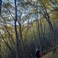 prvin