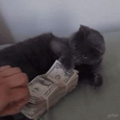 tumblr user