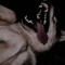 iwalkwghosts