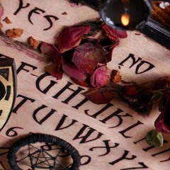☆TOXICOUIJA☆