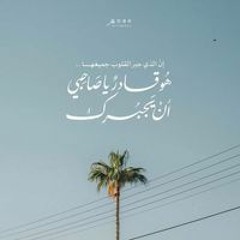 Reem  Shehab