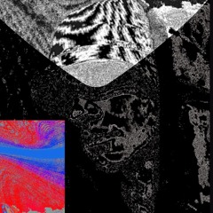 ERRORUS