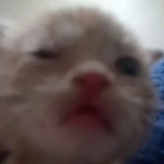 Gothkross.,.,