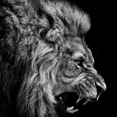 Maksim Mrvica - Kolibre - WorkInProgress Rock/Metal cover