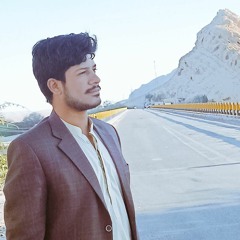 malik 0077