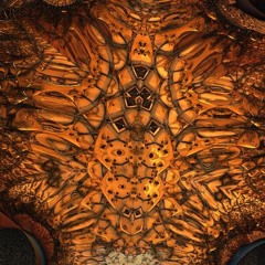 Coddiwomple Wabi-Sabi