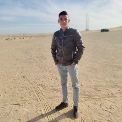 Mohamed Elmaddah