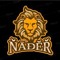 Nader El Zoghby