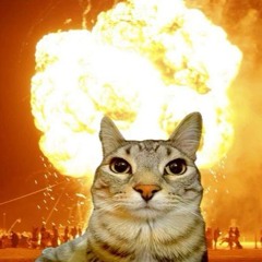 catzbomb
