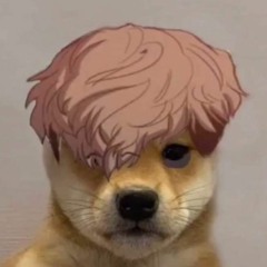salami