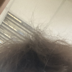 need 4 speed / music 4 car