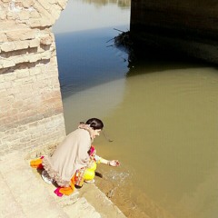 Misbah Rajpoot