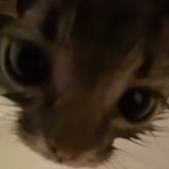 sussy baka