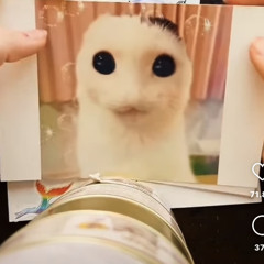hjmnsjdhahwh