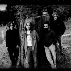The Wytches