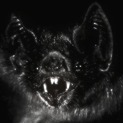 ℜ𝔢𝔞𝒚𝔩𝔞 ♡⛧🦇