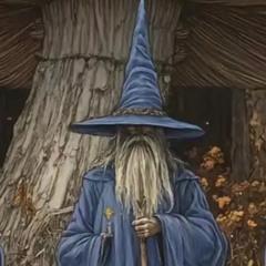 Wizar Exclusives