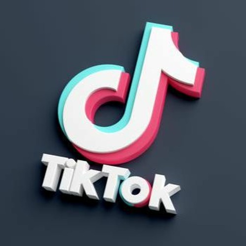 Bitch Take Off Your Panties Huh - TikTok Trend Song