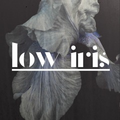 Low Iris