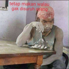 ailsya