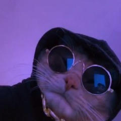 drmor