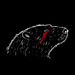 Banda Épica Sin Nombre XD