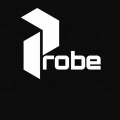 Probe
