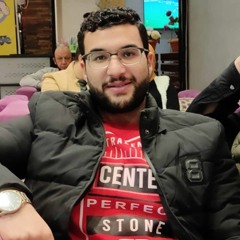 Mohamed Elhendawy