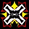 Team Xtar