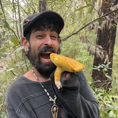 Noam Cohen
