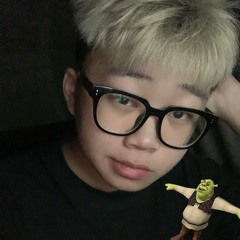 Pham Viet Anh