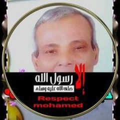السيد الجوهرى