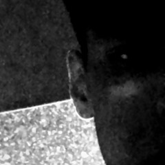 el chino loco Black