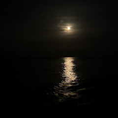𝑁